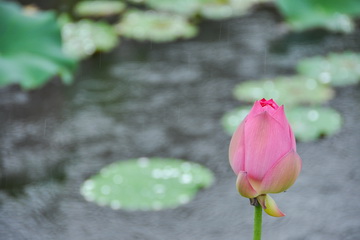 首页- am8亚美集团旗舰厅官网