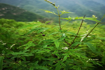 首页- am8亚美集团旗舰厅官网