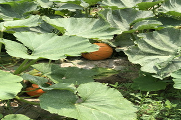 首页- am8亚美集团旗舰厅官网