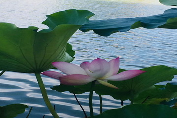 首页- am8亚美集团旗舰厅官网