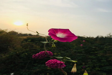 首页- am8亚美集团旗舰厅官网