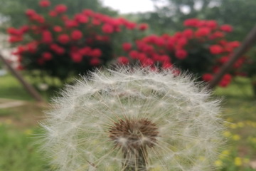 首页- am8亚美集团旗舰厅官网