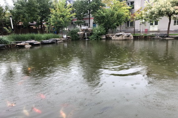 首页- am8亚美集团旗舰厅官网