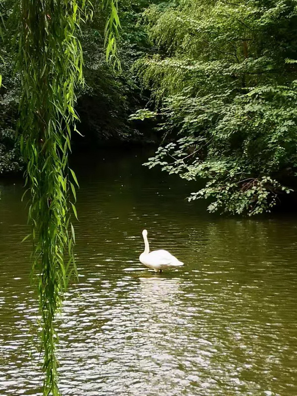 首页- am8亚美集团旗舰厅官网