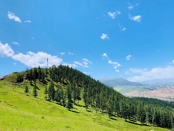 首页- am8亚美集团旗舰厅官网