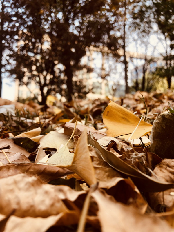 首页- am8亚美集团旗舰厅官网