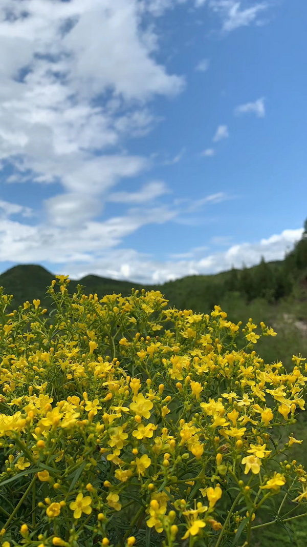 首页- am8亚美集团旗舰厅官网