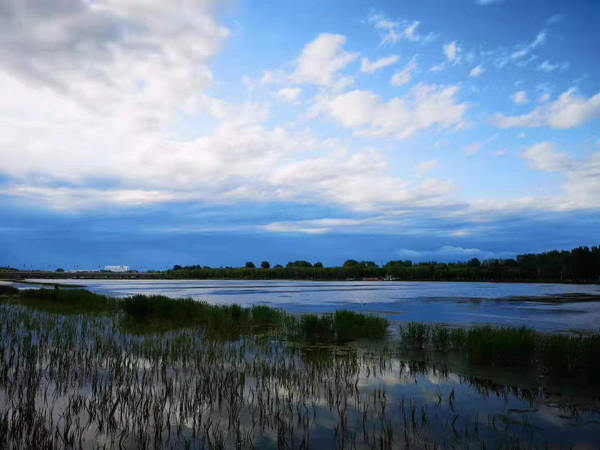 首页- am8亚美集团旗舰厅官网