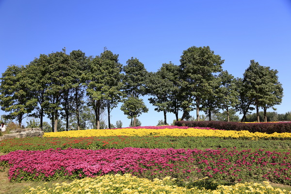 首页- am8亚美集团旗舰厅官网