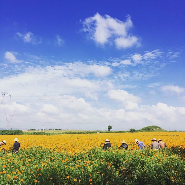 首页- am8亚美集团旗舰厅官网