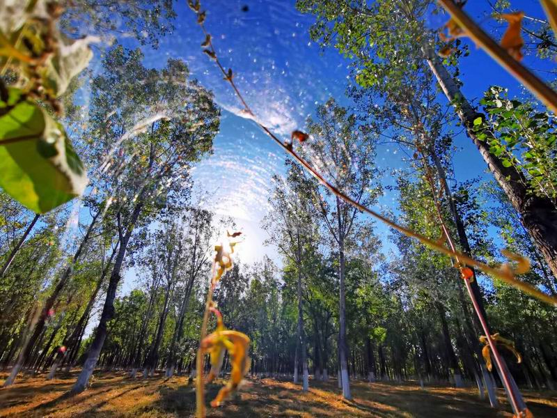 首页- am8亚美集团旗舰厅官网