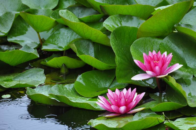 首页- am8亚美集团旗舰厅官网