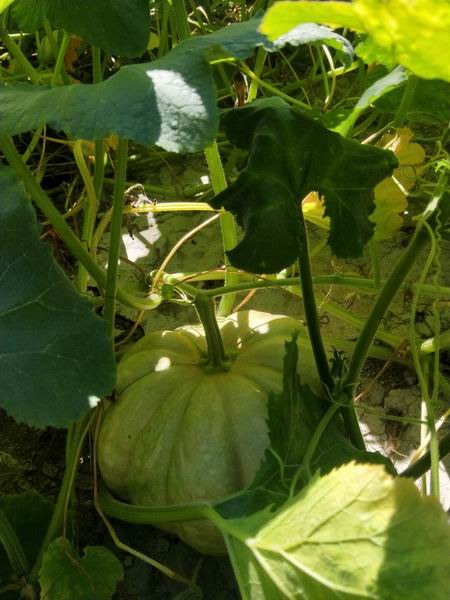 首页- am8亚美集团旗舰厅官网