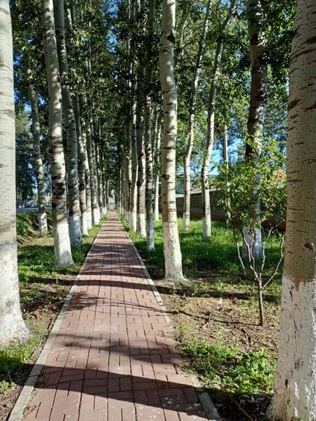 首页- am8亚美集团旗舰厅官网