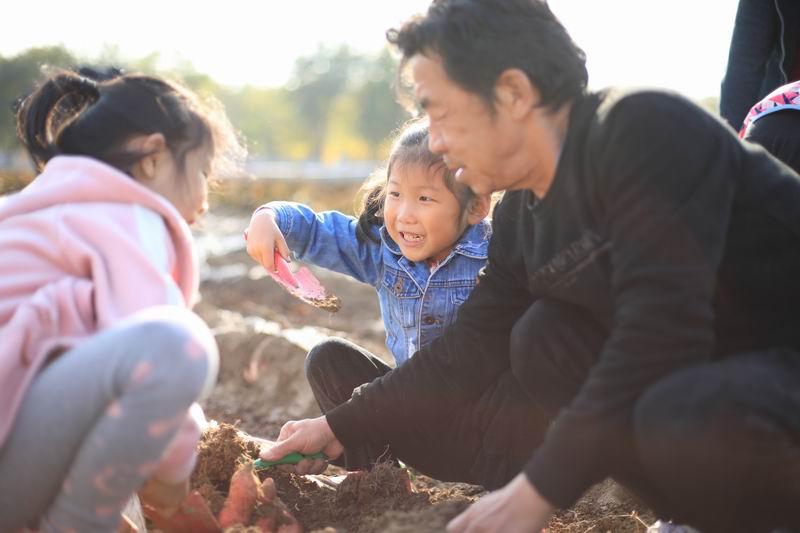 首页- am8亚美集团旗舰厅官网