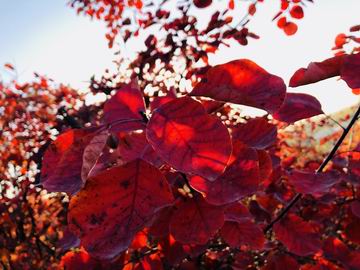 首页- am8亚美集团旗舰厅官网