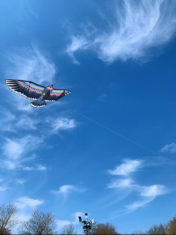 首页- am8亚美集团旗舰厅官网