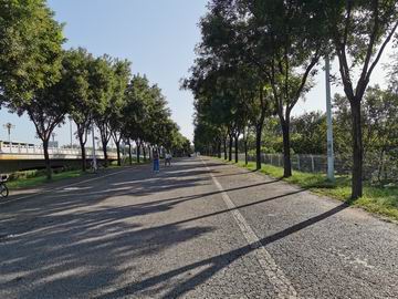 首页- am8亚美集团旗舰厅官网