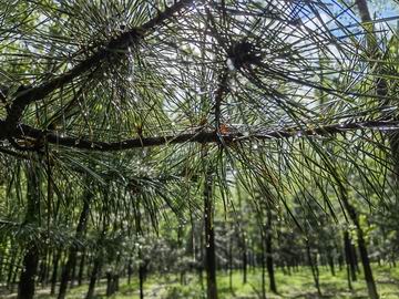 首页- am8亚美集团旗舰厅官网