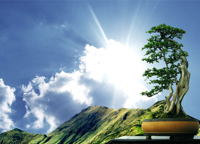 首页- am8亚美集团旗舰厅官网