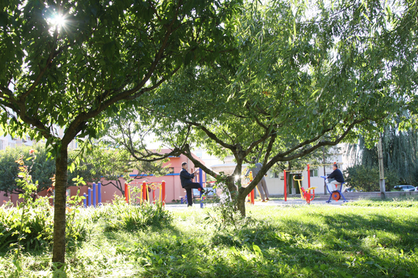 首页- am8亚美集团旗舰厅官网