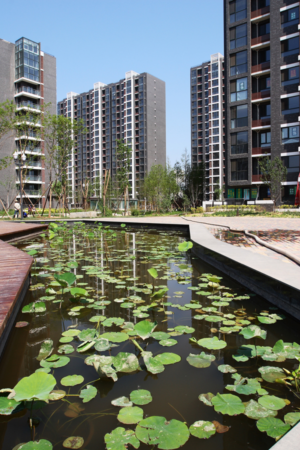 首页- am8亚美集团旗舰厅官网