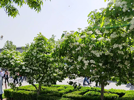 首页- am8亚美集团旗舰厅官网