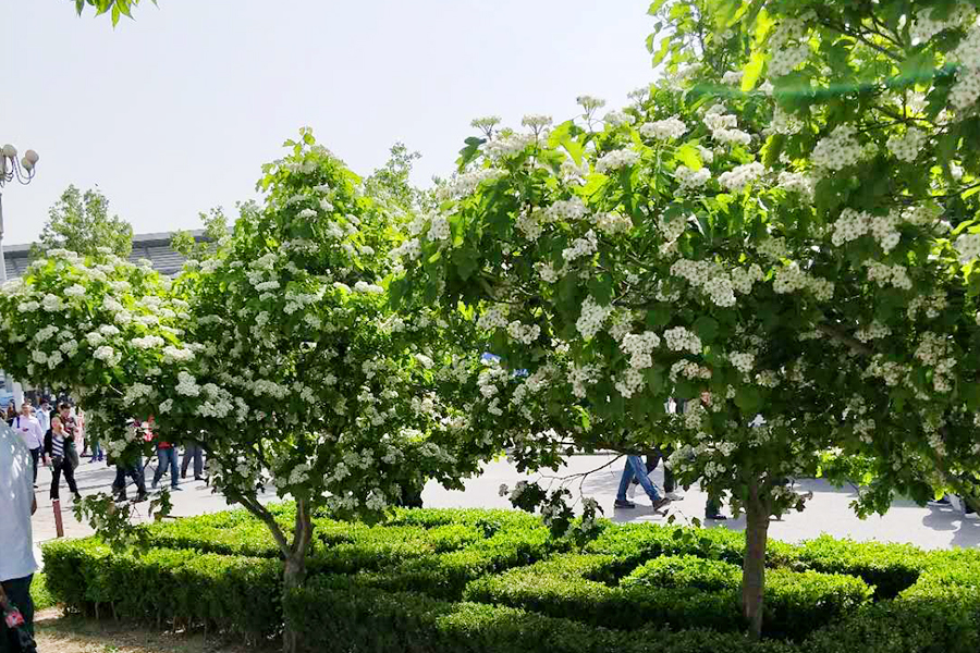 首页- am8亚美集团旗舰厅官网