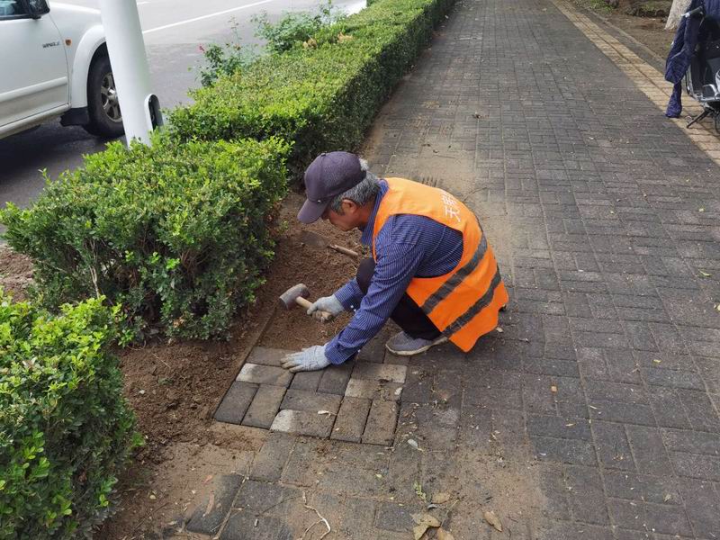 首页- am8亚美集团旗舰厅官网