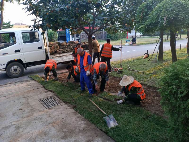 首页- am8亚美集团旗舰厅官网