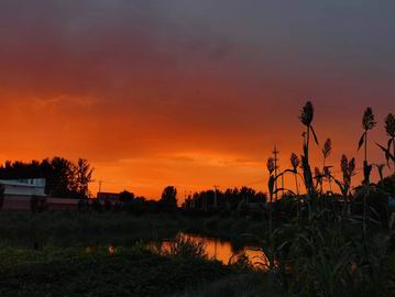 首页- am8亚美集团旗舰厅官网