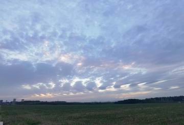 首页- am8亚美集团旗舰厅官网