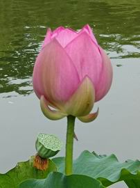 首页- am8亚美集团旗舰厅官网