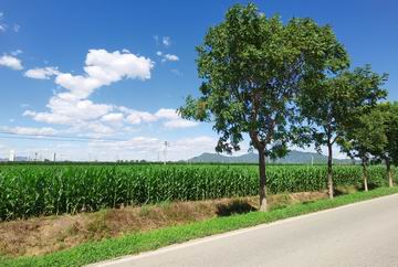 首页- am8亚美集团旗舰厅官网