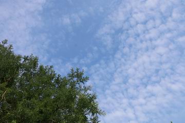 首页- am8亚美集团旗舰厅官网