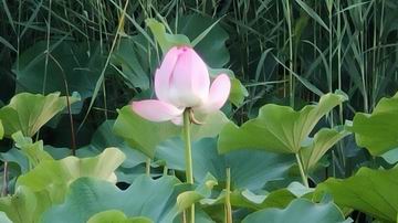 首页- am8亚美集团旗舰厅官网