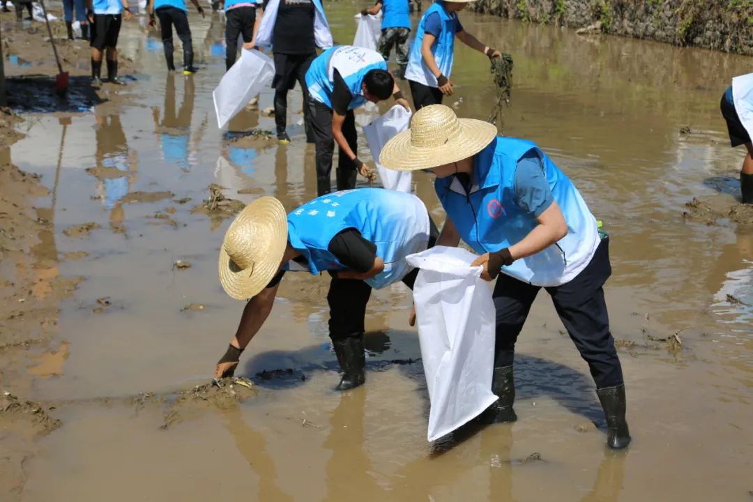 首页- am8亚美集团旗舰厅官网