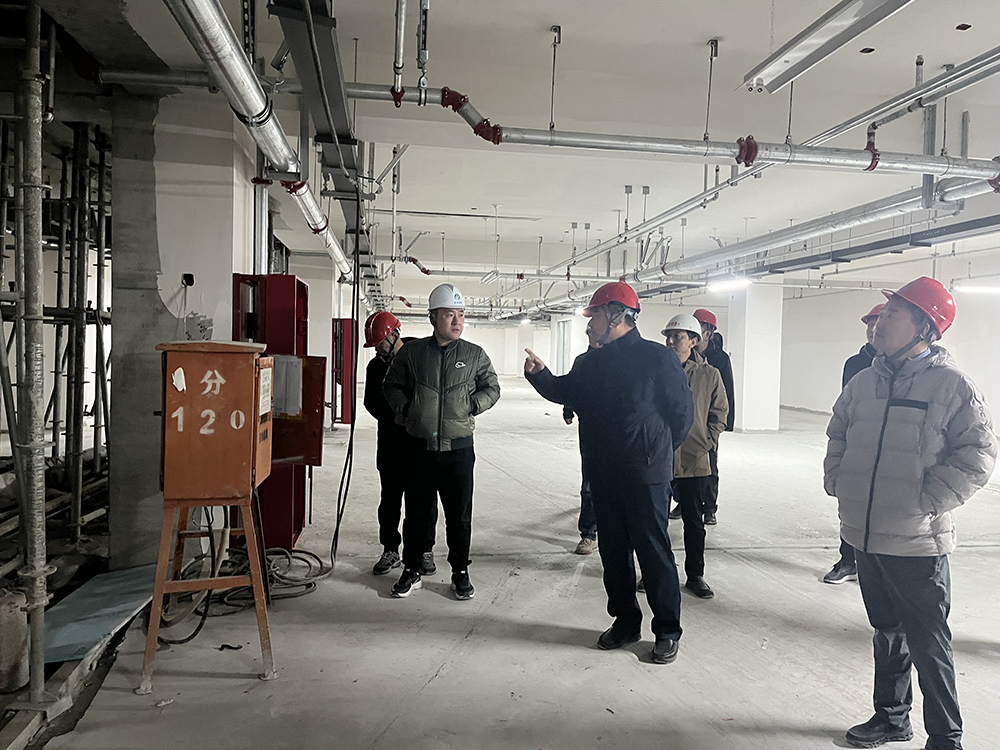 20241223120852_82649